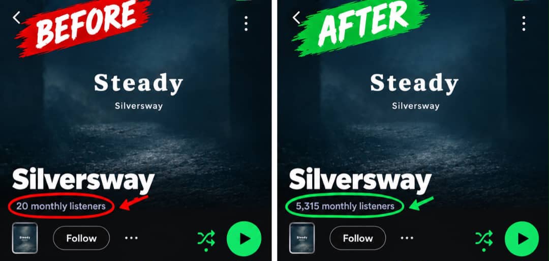 Silversway artist profile — supplied before-and-after image.